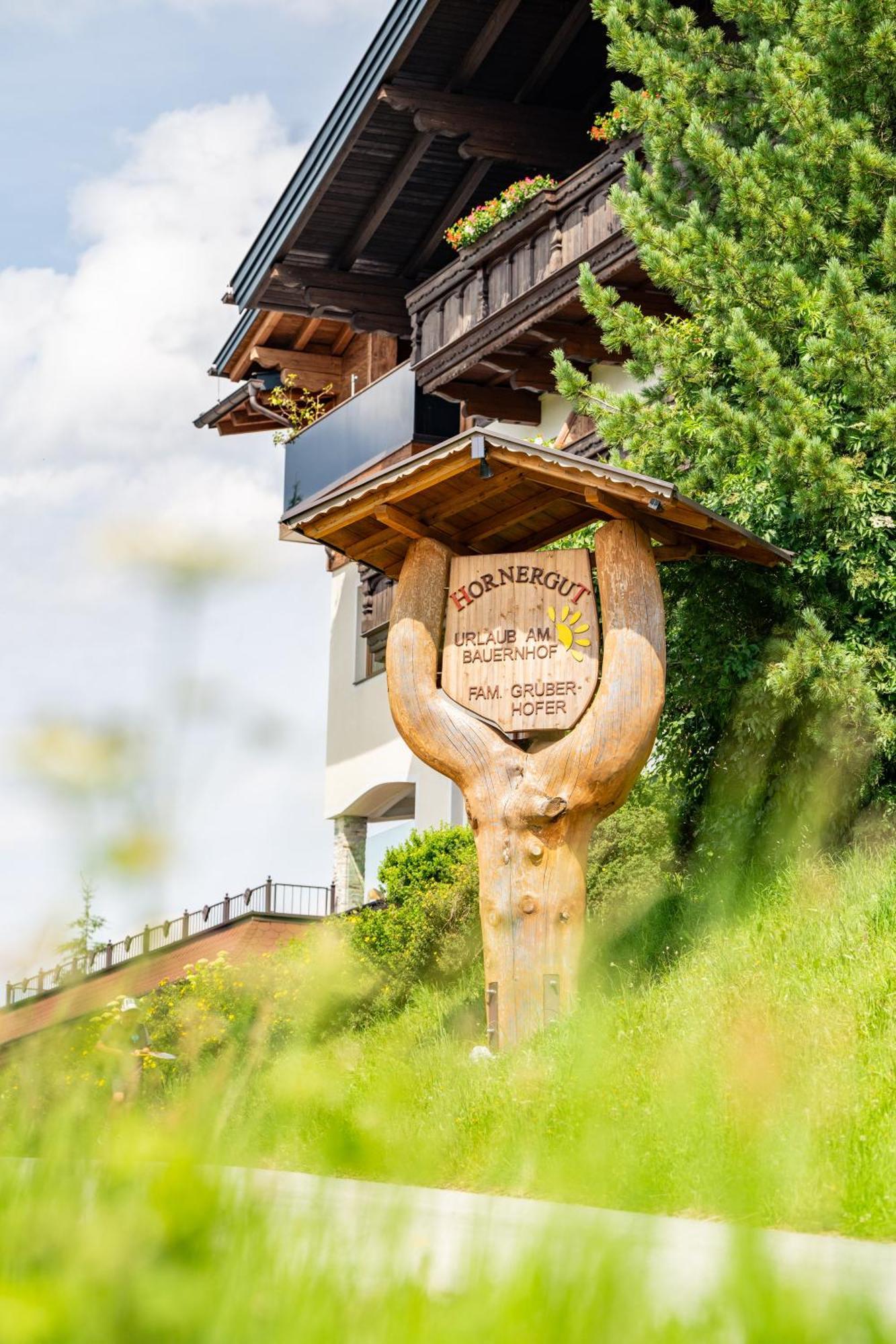 Hornergut Apartamento Altenmarkt im Pongau Exterior foto