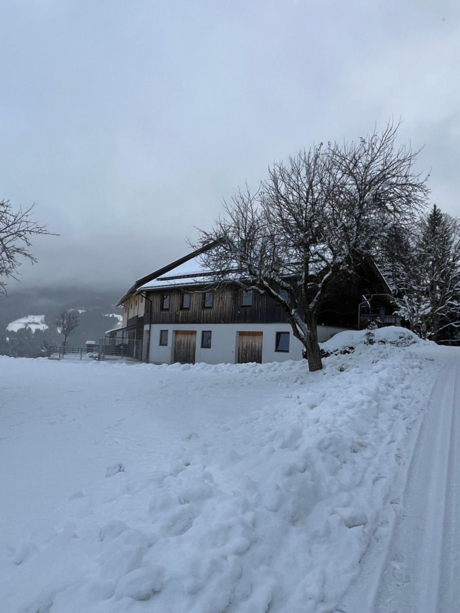 Hornergut Apartamento Altenmarkt im Pongau Exterior foto