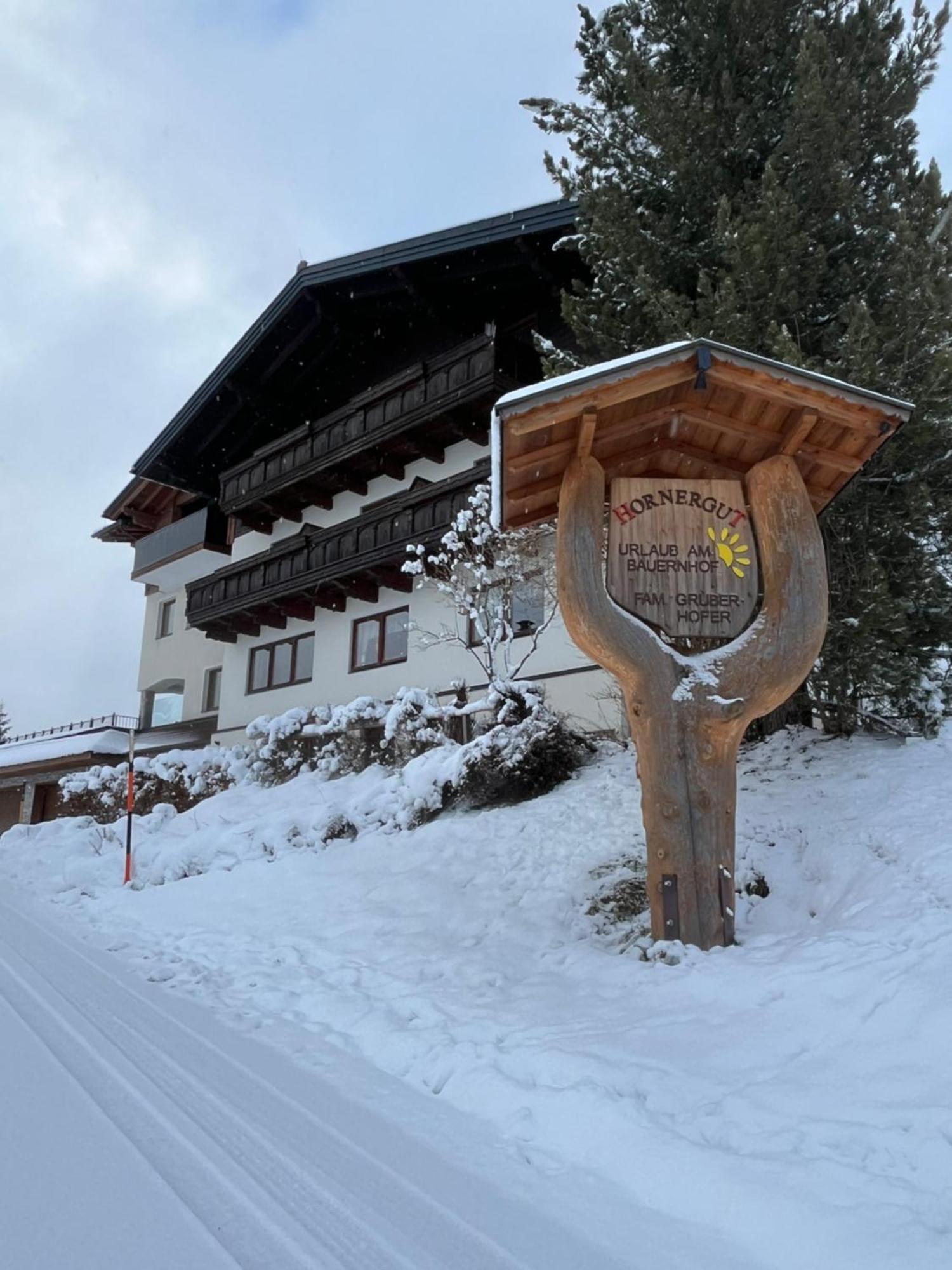 Hornergut Apartamento Altenmarkt im Pongau Exterior foto